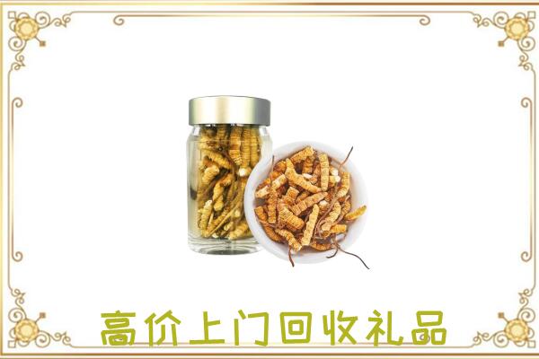 白城市周边回收虫草